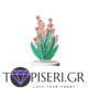 Children Night Led Lamp 5D Flower - Tapiseri.GR