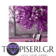 Painting By Numbers Purple Landscape - Tapiseri.GR
