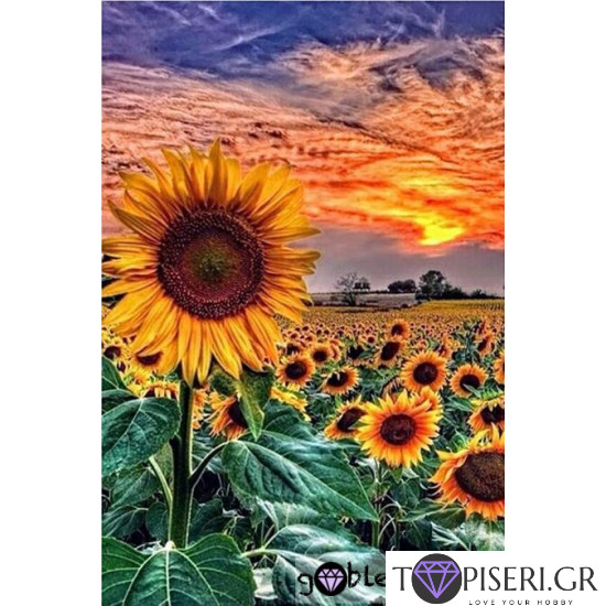 ECO Diamond Painting Sunflowers 2 - Tapiseri.GR