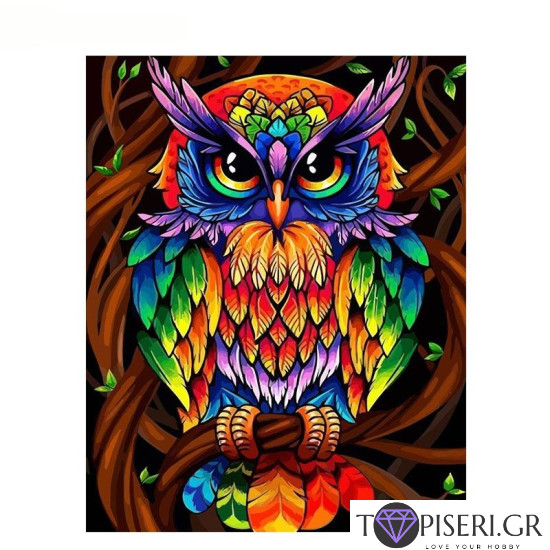 Painting By Numbers Colorful Owl - Tapiseri.GR Painting By Numbers Colorful Owl - Tapiseri.GR