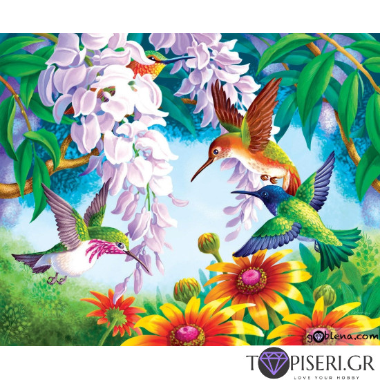 Painting By Numbers Colibri - Tapiseri.GR
