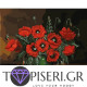 Painting By Numbers Poppies - Tapiseri.GR