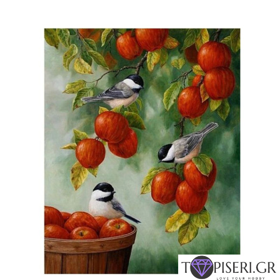 Painting By Numbers Sparrows With Apples - Tapiseri.GR