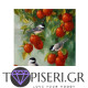 Painting By Numbers Sparrows With Apples - Tapiseri.GR