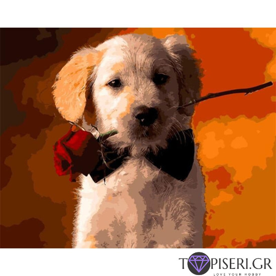 Painting By Numbers Dog With Rose - Tapiseri.GR