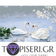Painting By Numbers Family Swans - Tapiseri.GR