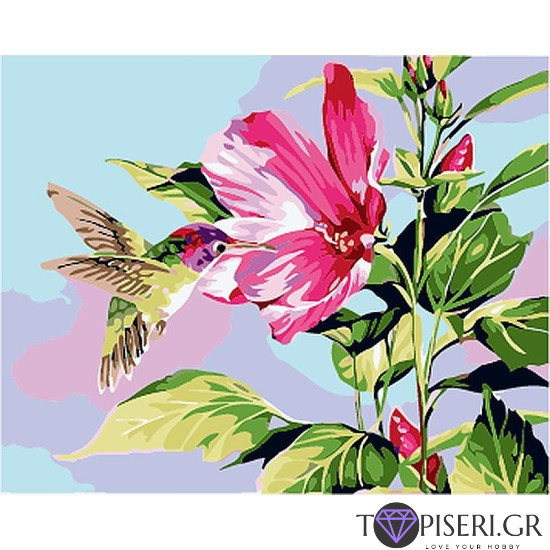 Painting By Numbers Hummingbird With Flower - Tapiseri.GR Painting By Numbers Hummingbird With Flower - Tapiseri.GR