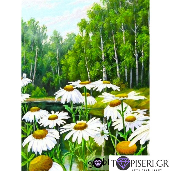 ECO Diamond Painting Forest Landscape - Tapiseri.GR