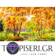 ECO Diamond Painting Autumn Fairytale 2 - Tapiseri.GR ECO Diamond Painting Autumn Fairytale 2 - Tapiseri.GR