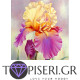 ECO Diamond Painting Peony 2 - Tapiseri.GR