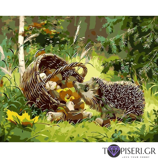 Painting By Numbers Hedgehog 2 - Tapiseri.GR Painting By Numbers Hedgehog 2 - Tapiseri.GR