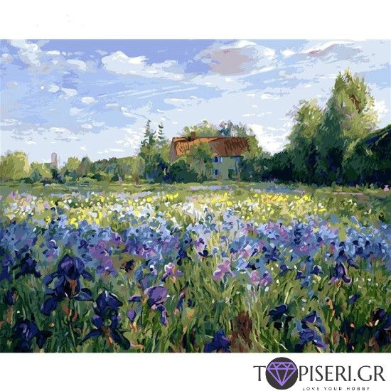 Painting By Numbers House In The Fields - Tapiseri.GR