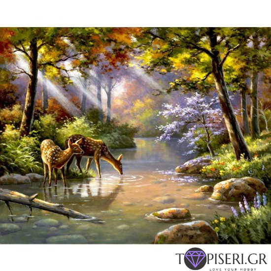 Painting By Numbers Deers In The Forest - Tapiseri.GR