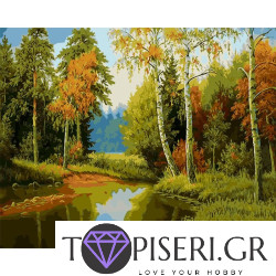 Painting By Numbers In The Forest