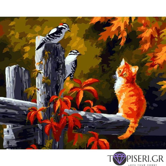 Painting By Numbers Kitty And Birds - Tapiseri.GR