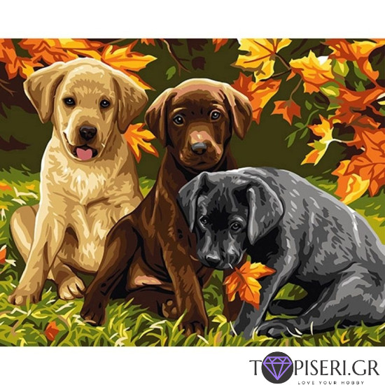 Painting By Numbers Cute Dogs - Tapiseri.GR
