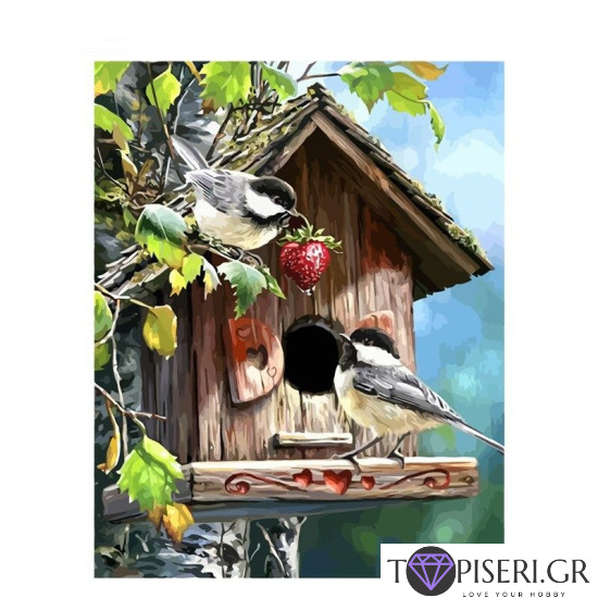 Painting By Numbers Cottage For Birds - Tapiseri.GR