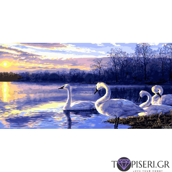 Painting By Numbers Swans 5 - Tapiseri.GR