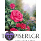 Diamond Painting Garden With Roses - Tapiseri.GR