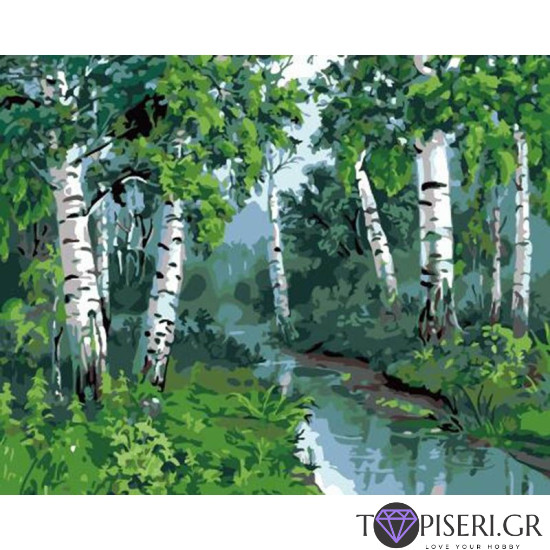Painting By Numbers Birches Near The River - Tapiseri.GR