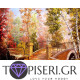 Painting By Numbers Autumn Bench - Tapiseri.GR