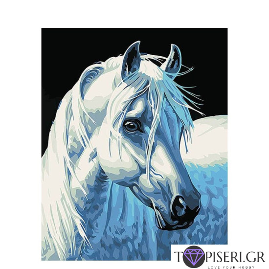 Painting By Numbers White Horse 2 - Tapiseri.GR