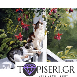 Painting By Numbers Little Kitties