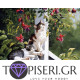 Painting By Numbers Little Kitties - Tapiseri.GR