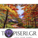 Painting By Numbers Autumn House 2 - Tapiseri.GR
