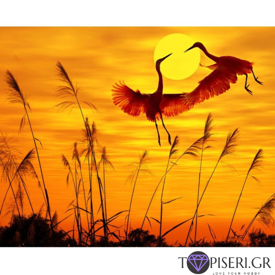 Painting By Numbers Cranes - Tapiseri.GR Painting By Numbers Cranes - Tapiseri.GR