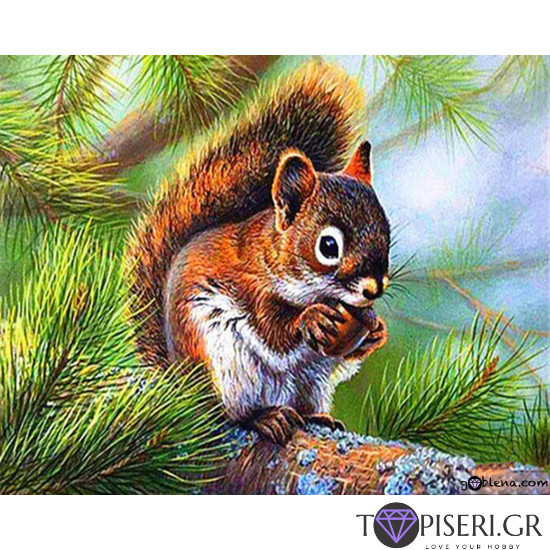 Diamond Painting Squirrel - Tapiseri.GR