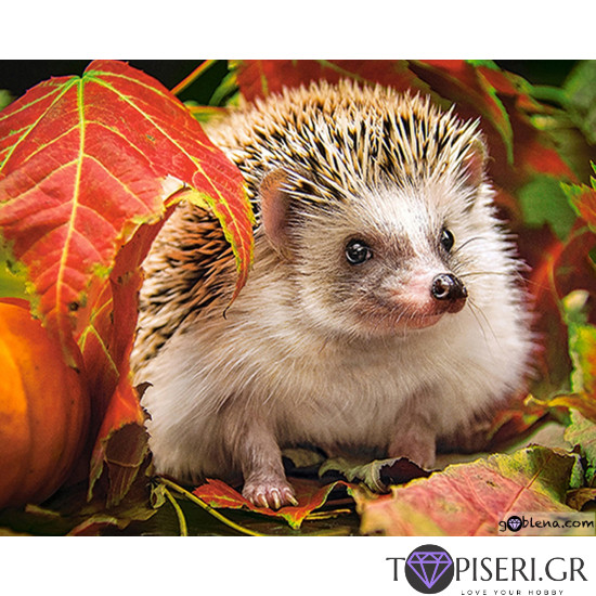 Diamond Painting Hedgie 3 - Tapiseri.GR