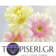 Diamond Painting Gerberas - Tapiseri.GR