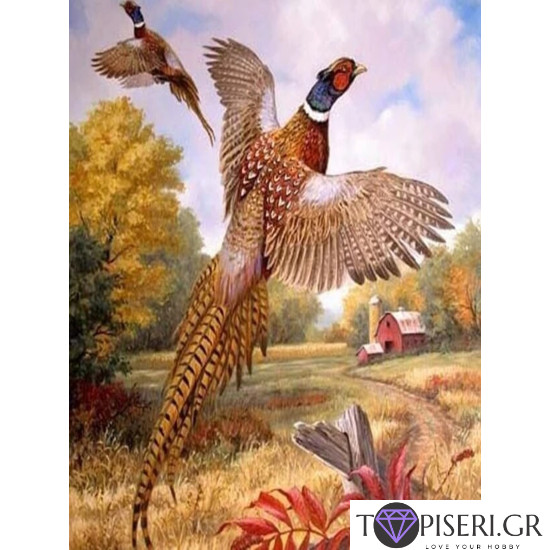 Diamond Painting Pheasant - Tapiseri.GR