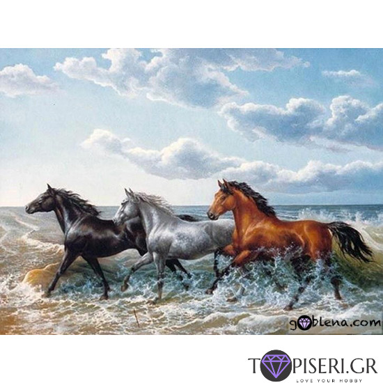 Diamond Painting Gallop On The Beach - Tapiseri.GR