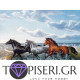 Diamond Painting Gallop On The Beach - Tapiseri.GR