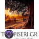 Diamond Painting Tree On Sunset - Tapiseri.GR