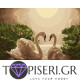 Painting By Numbers Swans In Love - Tapiseri.GR