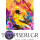 Διαμαντένιο ψηφιδωτό Πουλάκι - Tapiseri.GR