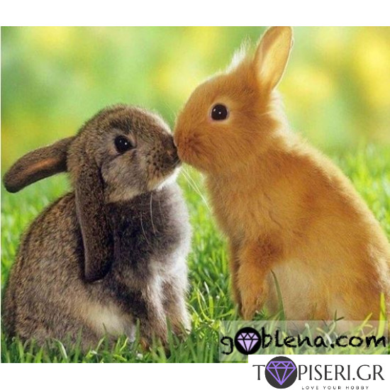 Diamond Painting Bunnies - Tapiseri.GR