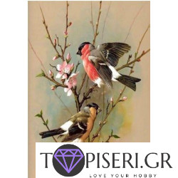 Diamond Painting Birds 2