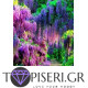 Diamond Painting Lilac Garden - Tapiseri.GR