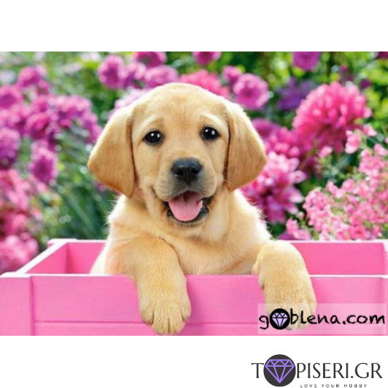 ECO Diamond Painting Cute Dog 3 - Tapiseri.GR