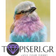 ECO Diamond Painting Colorful Bird - Tapiseri.GR
