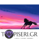 Painting By Numbers Horse On Colored Background - Tapiseri.GR