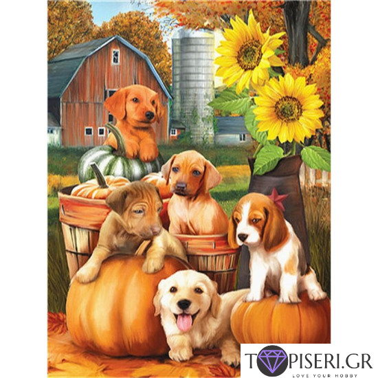 Painting By Numbers Cute Dogs 3 - Tapiseri.GR