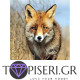 Painting By Numbers Fox - Tapiseri.GR