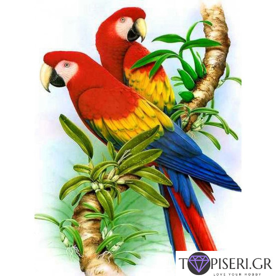 Painting By Numbers Parrots 3 - Tapiseri.GR Painting By Numbers Parrots 3 - Tapiseri.GR