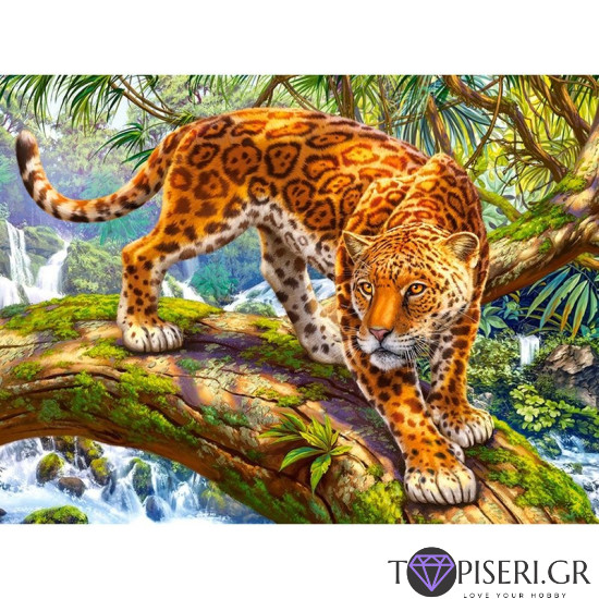 Painting By Numbers Cheetah - Tapiseri.GR
