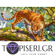 Painting By Numbers Cheetah - Tapiseri.GR